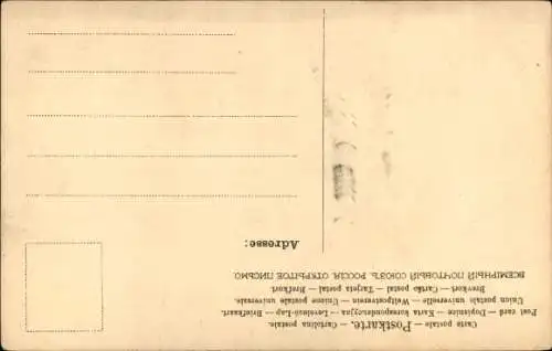 Künstler Ak Boxer, Hund