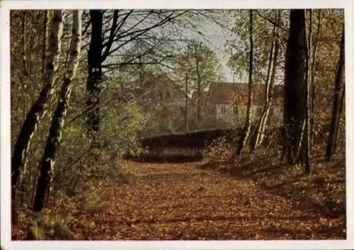 Ak Weißenborn Holzland Thüringen, Herbstlicher Waldspaziergang
