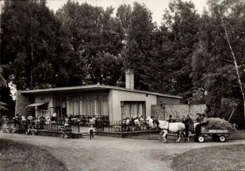Ak Luckenwalde in Brandenburg, Parkcafe, Pferdewagen