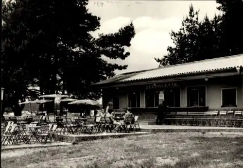 Ak Dobbrikow Nuthe-Urstromtal Teltow-Fläming, Konsum Seepalette, Terrasse