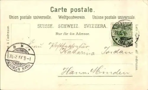 Ak Zürich Stadt Schweiz, Panoramaansicht von  Fluss, Berge, Blumenmotiv