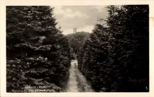 Ak Lübbecke in Westfalen, Waldweg mit Blick auf den Wartturm