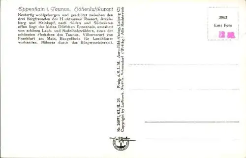 Ak Eppenhain Kelkheim im Taunus, Fliegeraufnahme