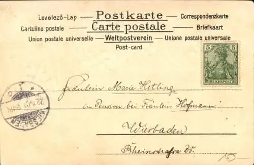 Präge Passepartout Ak Korbach in Hessen, Teilansicht, Weinreben