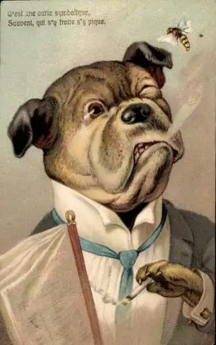 Ak Vermenschlichter Hund, Zigarette, Biene