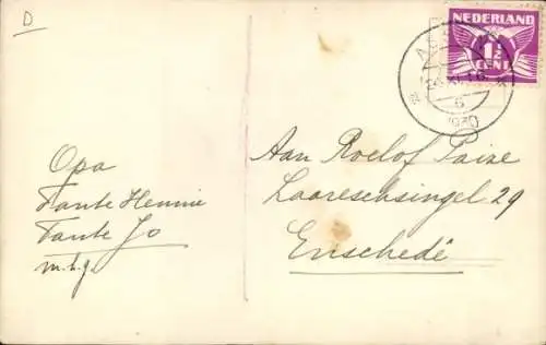 Ak Hunde, drei Welpen