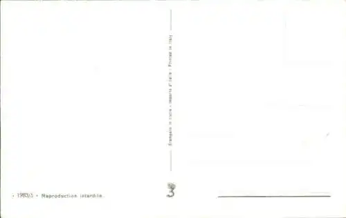 Ak Drei Welpen, Blumen