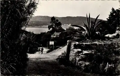 Ak Ile de Levant Hyères Var, Abstieg zum Hafen