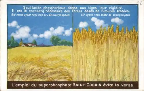 Ak Reklame, Superphosphate Saint Gobain