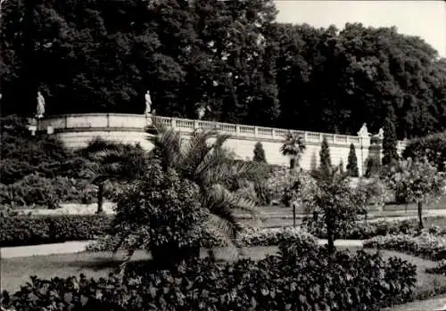 Ak Potsdam Sanssouci, Sizilianischer Garten