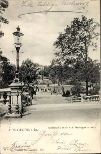 Ak Freiberg in Sachsen, Albertpark, Blick von der Freitreppe und Villa