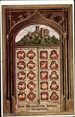 Künstler Ak Lutherstadt Eisenach in Thüringen, Wartburg, Das Menschliche Leben in Tiergestalt