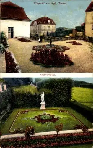 Ak Großsedlitz Heidenau in Sachsen, Königlicher Garten, Eingang, Andromeda