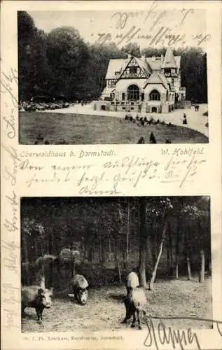 Ak Darmstadt in Hessen, Oberwaldhaus bei Darmstadt, Gasthaus, Wald, Wildschweine