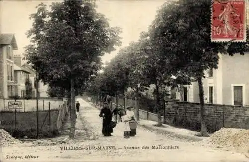 CPA Villiers-sur-Marne Val-de-Marne, Avenue des Marronniers