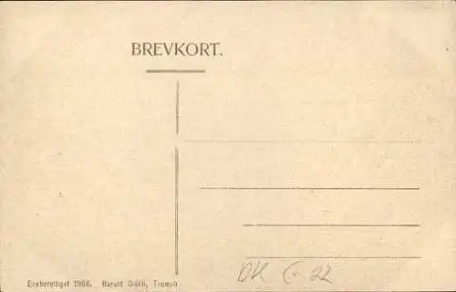 Ak Tromsø Tromsö Norwegen, Storgaden