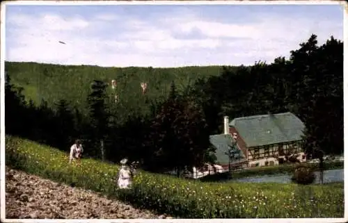 Ak Ansprung Marienberg im Erzgebirge, Naturlandschaft, Hüttstadtmühle, blühende Wiese, zwei Pe...