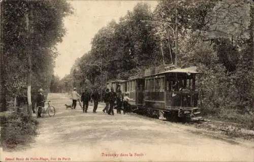 Ak Étaples Pas de Calais, Straßenbahn im Wald