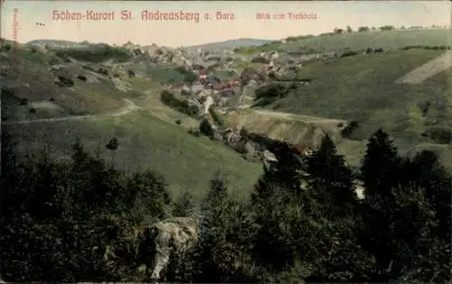 Ak Sankt Andreasberg Braunlage im Oberharz, Blick vom Treibholz