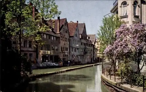 Ak Ulm an der Donau, Partie an der Blau, blühender Baum, Häuser