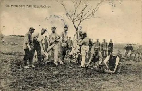 Ak Soldaten beim Hammelschlachten