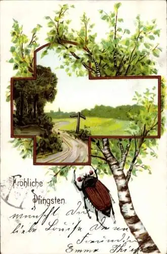 Litho Fröhliche Pfingsten, Maikäfer, Weg