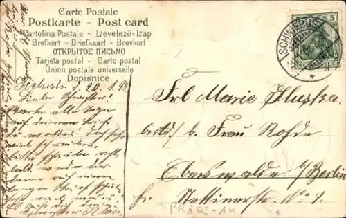 Präge Ak Reife Früchte am Baum, Obst