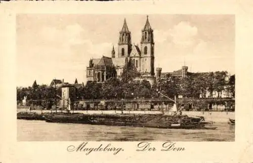 Ak Magdeburg an der Elbe, Dom