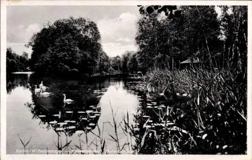 Ak Berlin Köpenick Rahnsdorf Wilhelmshagen, Hessenwinkel, Hubertussee