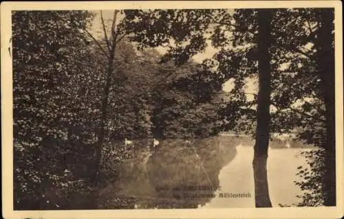 Ak Eberswalde in der Mark, Mühlenteich