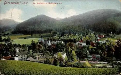 Ak Sokołowsko Görbersdorf Schlesien, Dr. Brehmer's-Heilanstalten