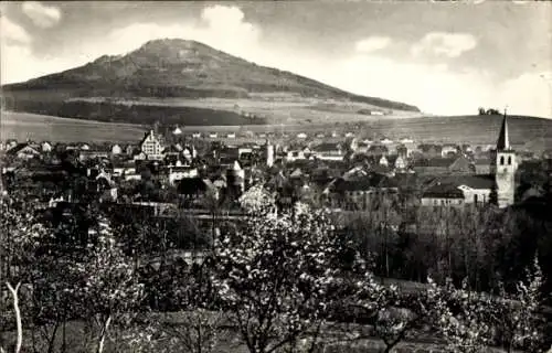 Ak Vacha in der Rhön Thüringen, Blick nach dem Oechsen, Panorama