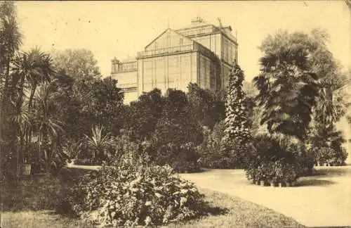 Ak Herrenhausen Hannover in Niedersachsen, Palmenhaus in Herrenhausen, Gebäude von Pflanzen un...