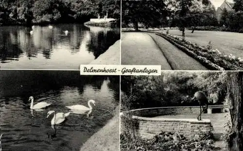 Ak Delmenhorst in Niedersachsen, Graftanlagen, Schwäne, Kranichstatue