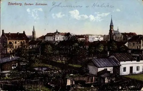 Ak Bohumín Oderberg Region Mährisch Schlesien, Teilansicht