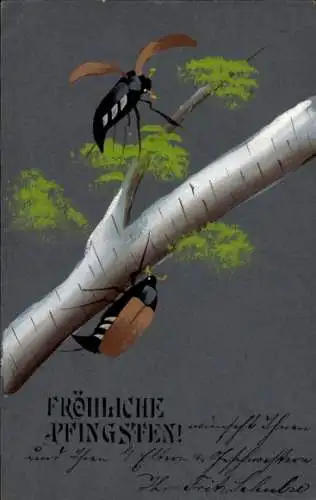 Ak Frohe Pfingsten, Maikäfer an einem Zweig