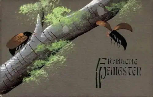 Ak Frohe Pfingsten, zwei Maikäfer an einem Ast