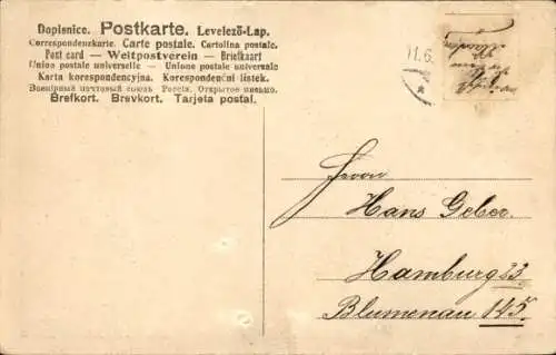 Ak Frohe Pfingsten, zwei Maikäfer an einem Ast