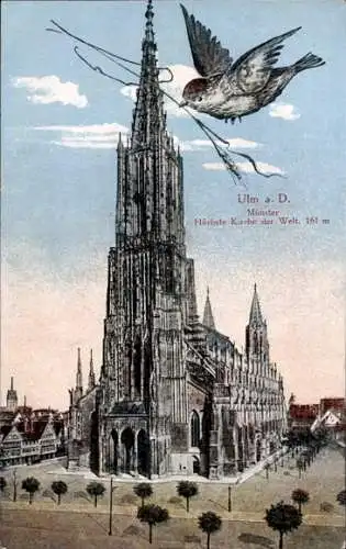 Ak Ulm an der Donau, Münster, Spatz