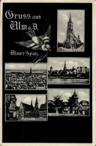 Ak Ulm an der Donau, Münster, Panorama, Ulmer Spatz