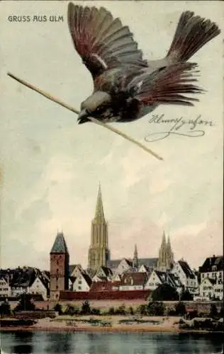 Ak Ulm an der Donau, Münster, Ulmer Spatz