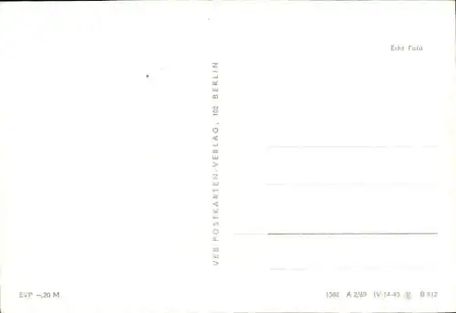 Ak Zoologischer Garten, Storch