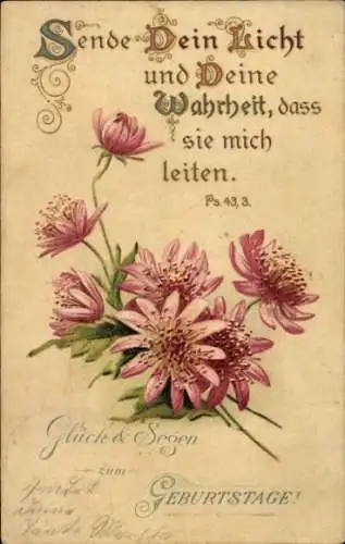 Ak Glückwunsch Geburtstag, Blumen, Bibelzitat, Sende Dein Licht.., Ps. 43,3