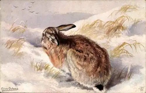 Künstler Ak Oehme, Elsa, Hase im Feld