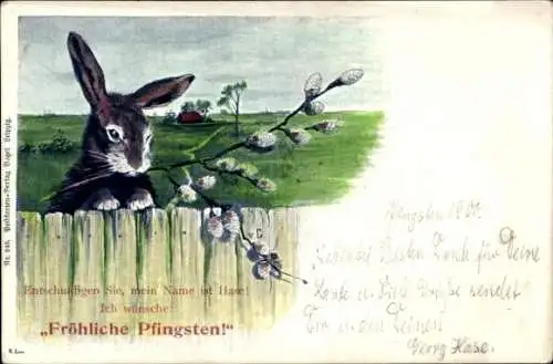 Ak Glückwunsch Pfingsten, Entschuldigen Sie, mein Name ist Hase