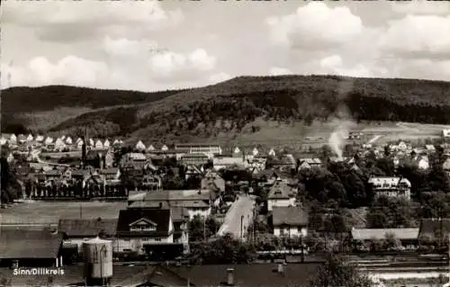 Ak Sinn in Hessen, Panorama