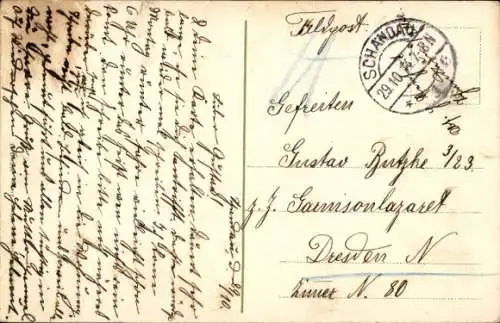 Ak Bad Schandau Sächsische Schweiz, Stadt, Salondampfer