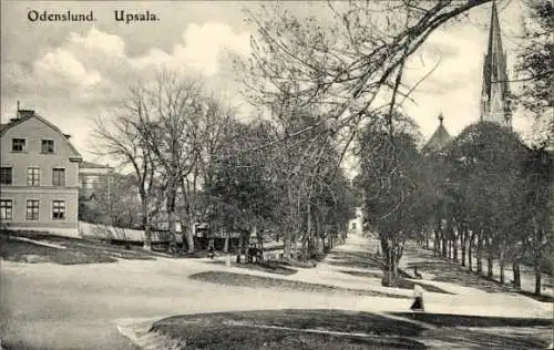 Ak Upsala Uppsala Schweden, Landschaft mit Bäumen, Weg und Gebäuden, Kirche im Hintergrund, al...