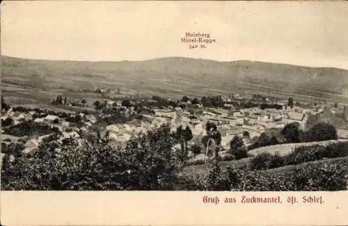 Ak Zlaté Hory Zuckmantel Region Olmütz, Holzberg, Mittel Koppe, Panorama