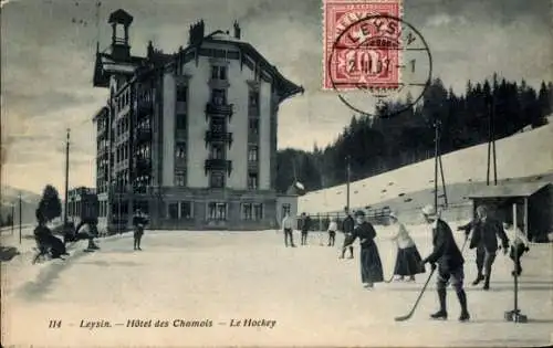 Ak Leysin Kanton Waadt, Hôtel des Chamois, Eishockey